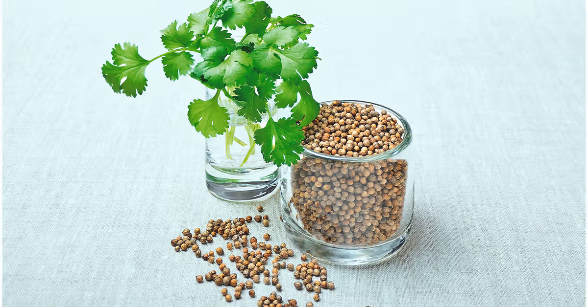 What Do Cilantro Pills Do?