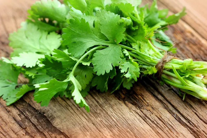 What is the medication cilantro for?