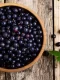 What is Black Currant Seed Oil good for?