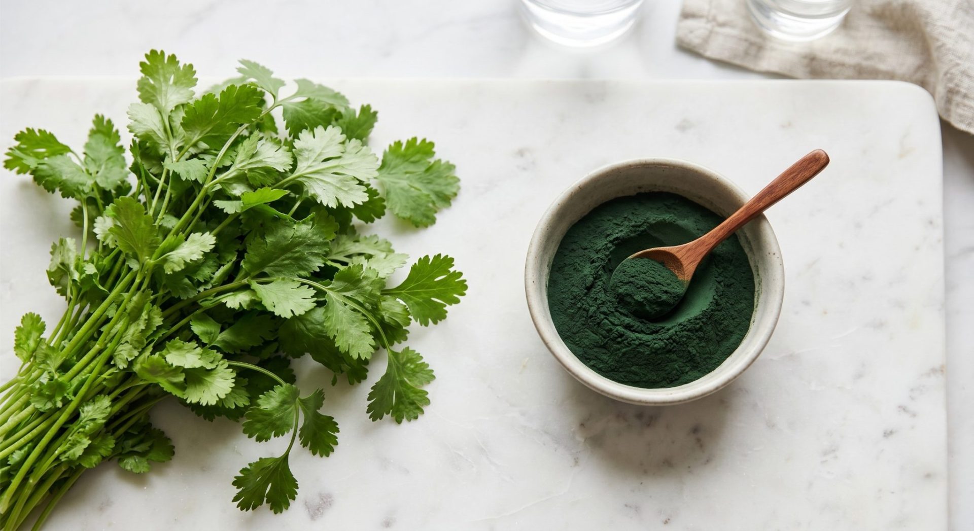 Fresh cilantro leaves and chlorella powder representing two natural detox supplement approaches